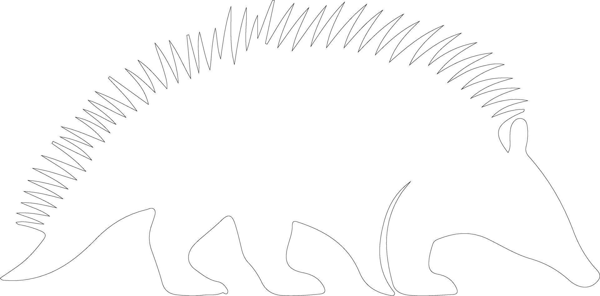 spiny anteater    outline silhouette vector