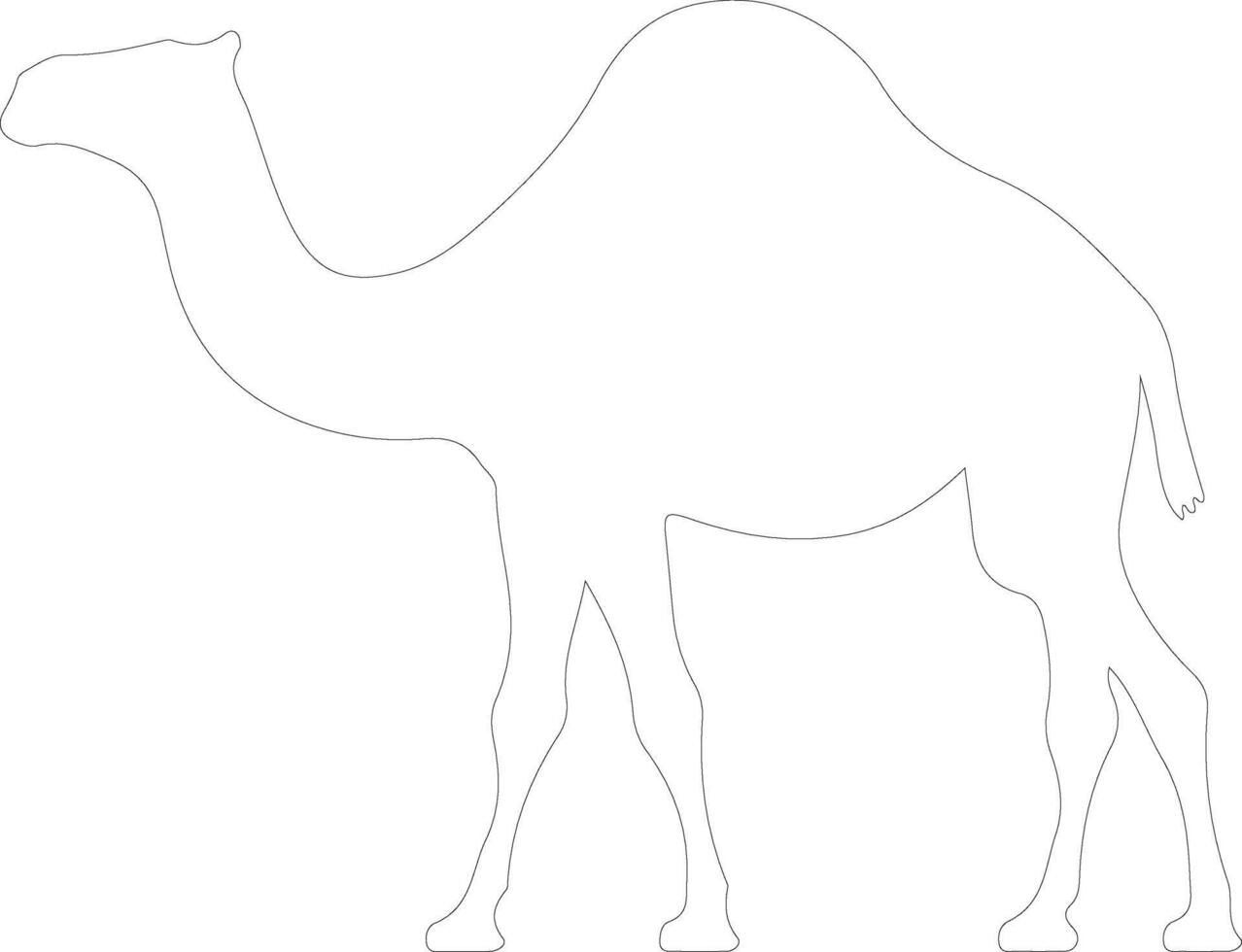 dromedary    outline silhouette vector