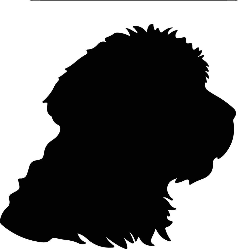 Spanish Water Dog  silhouette portrait vector