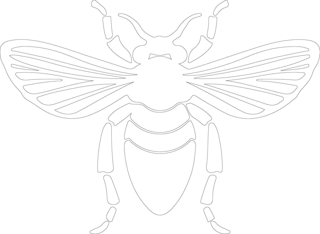 cicada outline silhouette vector
