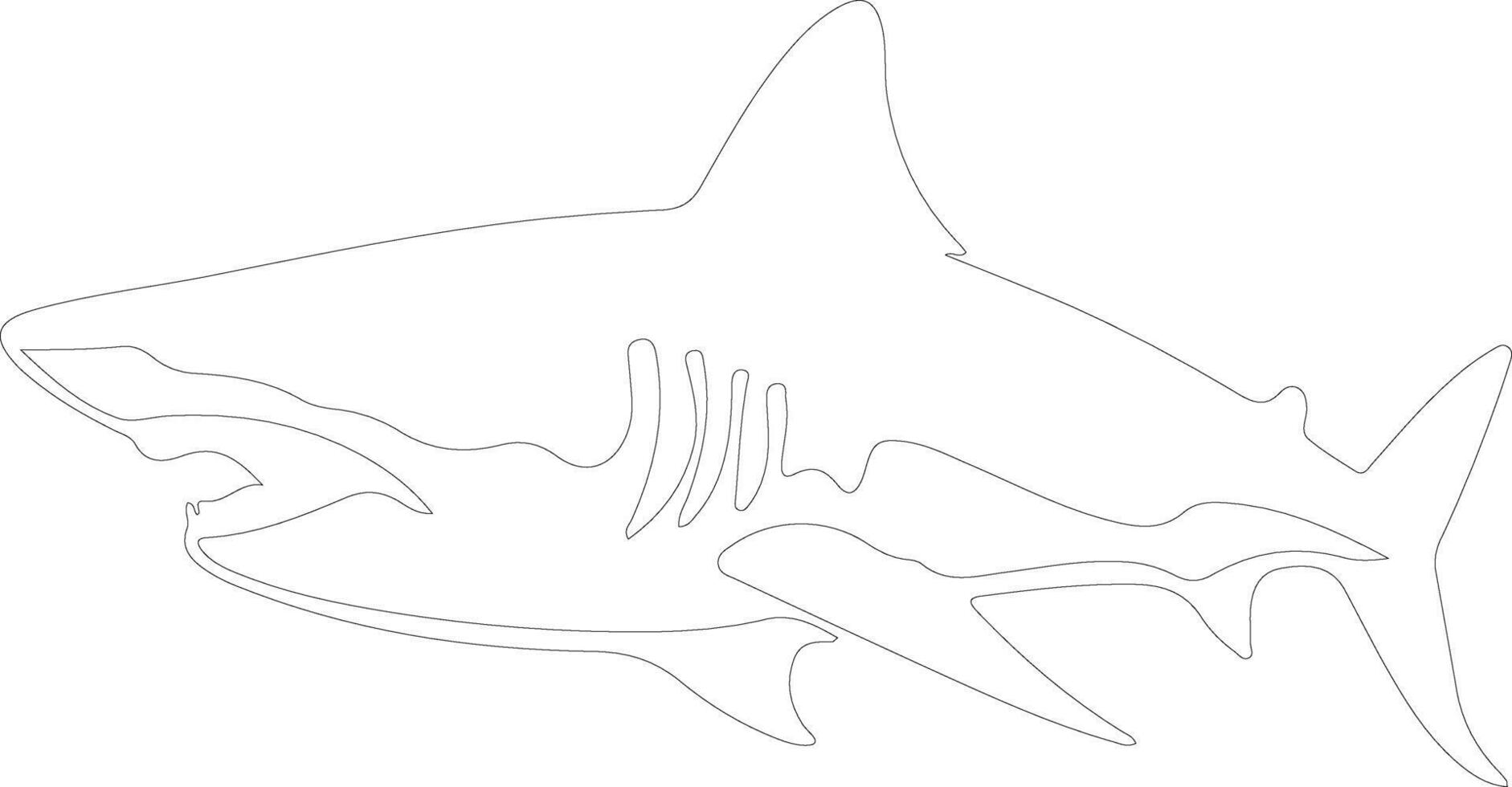 lemon shark  outline silhouette vector