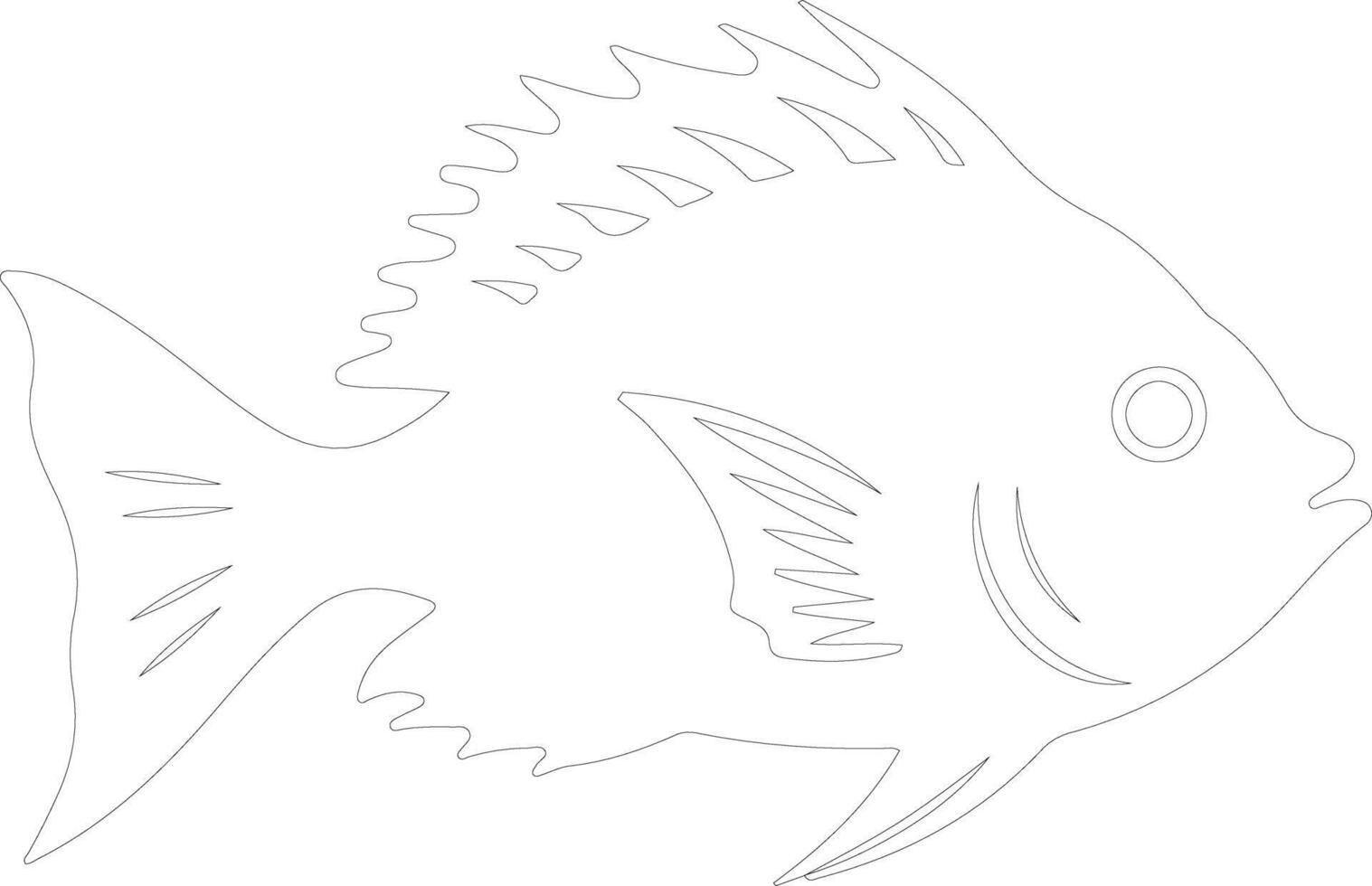 John Dory  outline silhouette vector