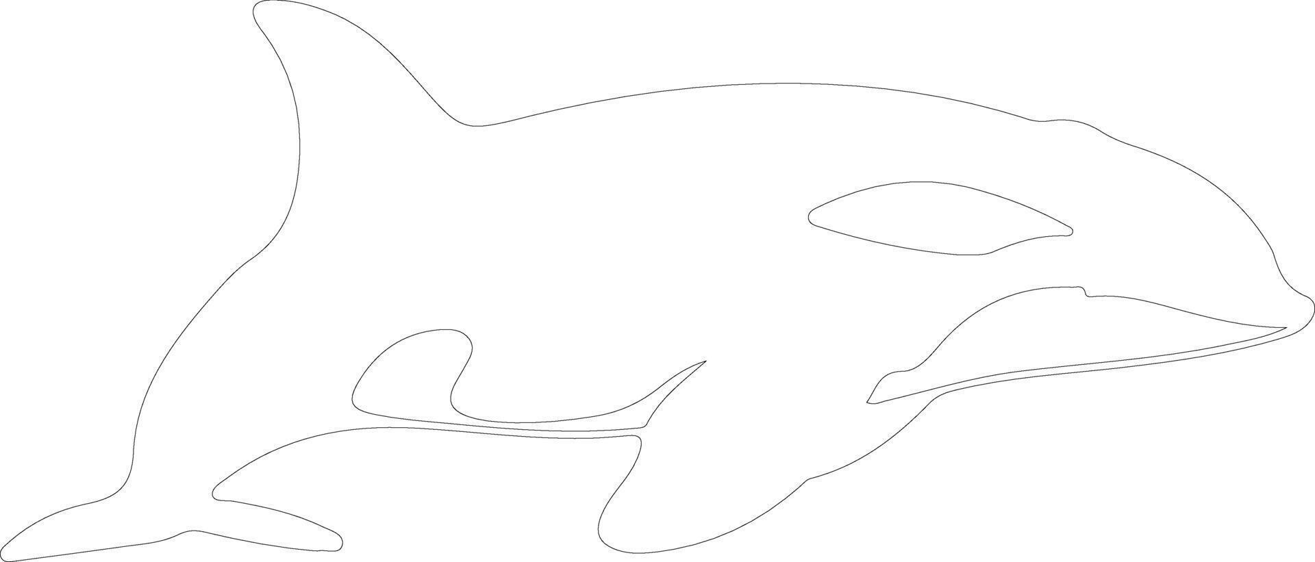 orca outline silhouette vector