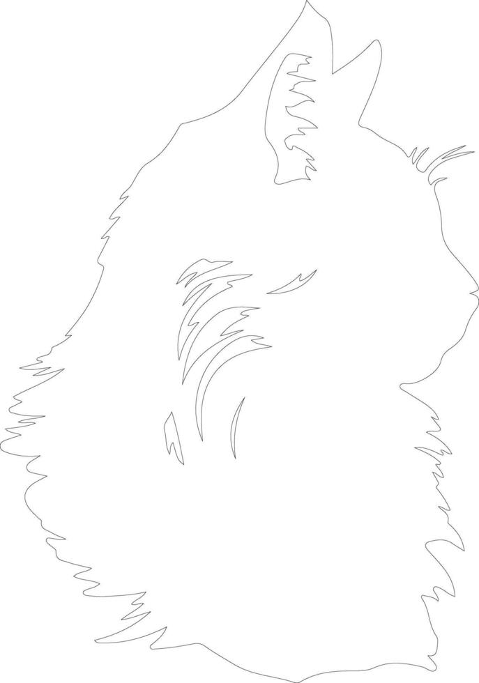 Maine Coon Cat  outline silhouette vector