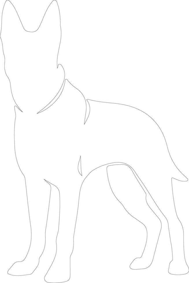 Belgian Malinois  outline silhouette vector