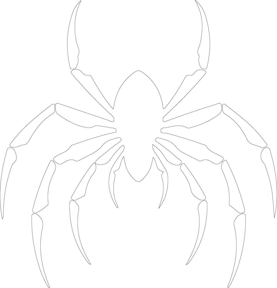 whip scorpion outline silhouette vector