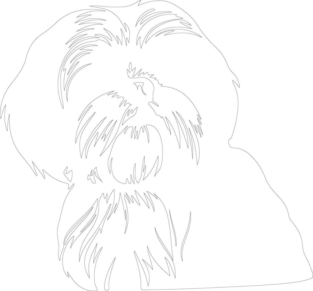 Shih Tzu outline silhouette vector