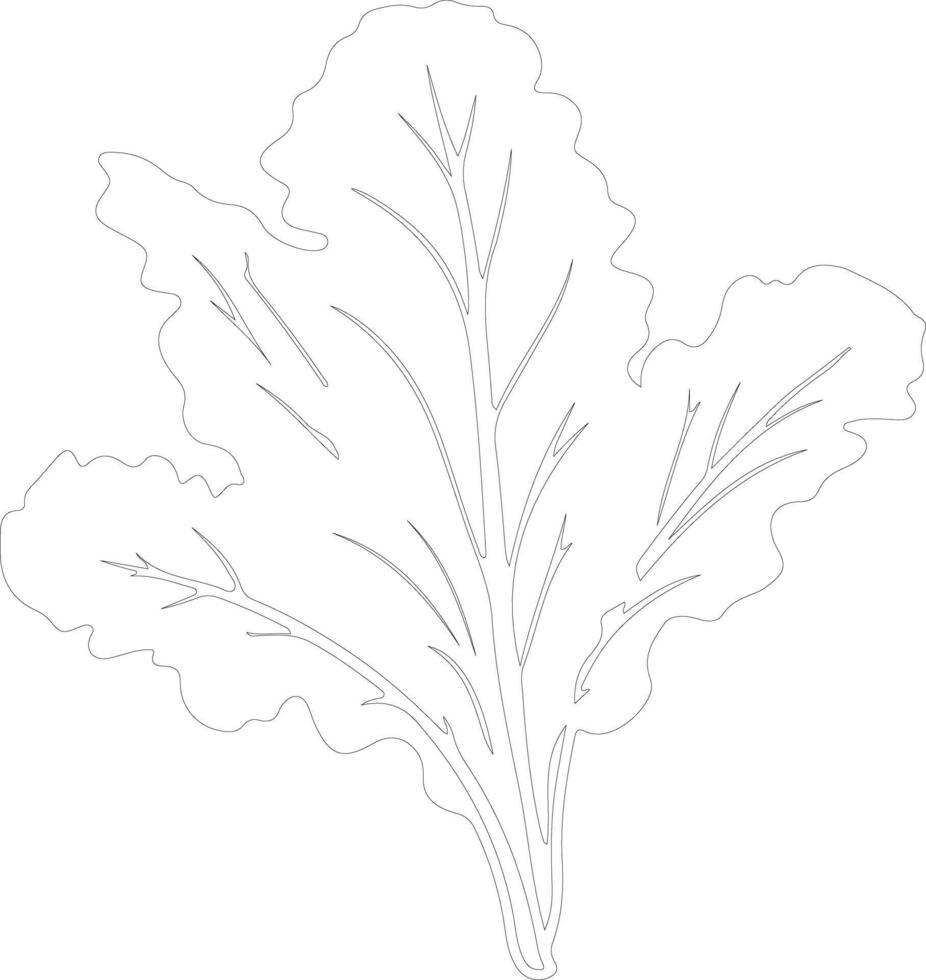 collard greens  outline silhouette vector