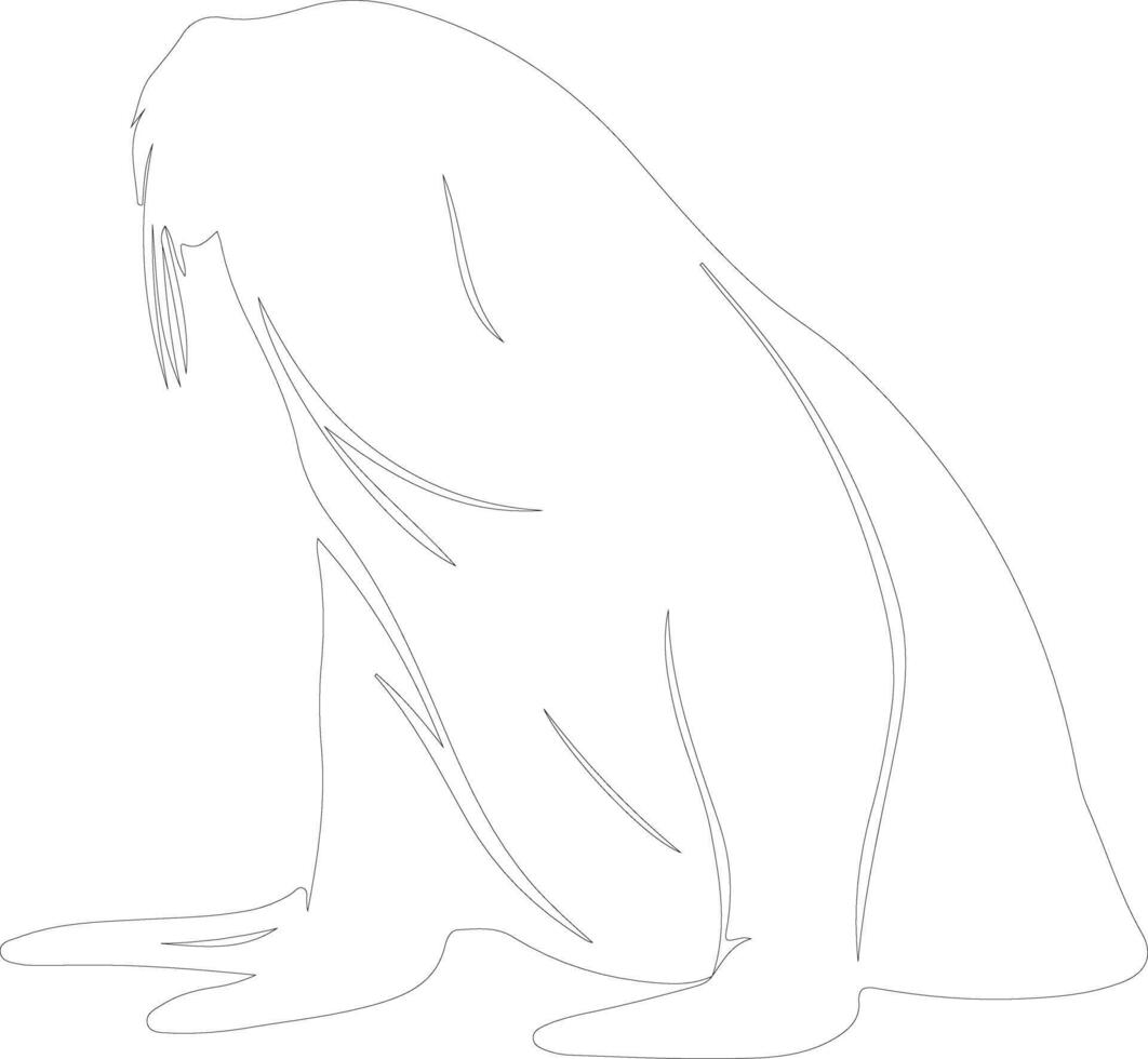 walrus  outline silhouette vector