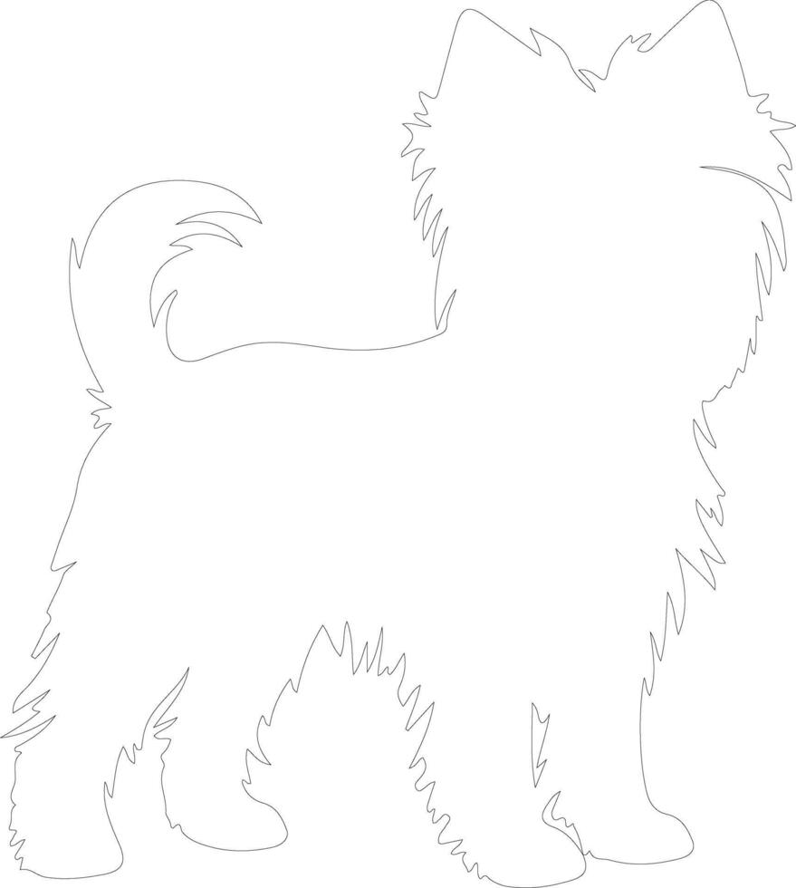Affenpinscher  outline silhouette vector