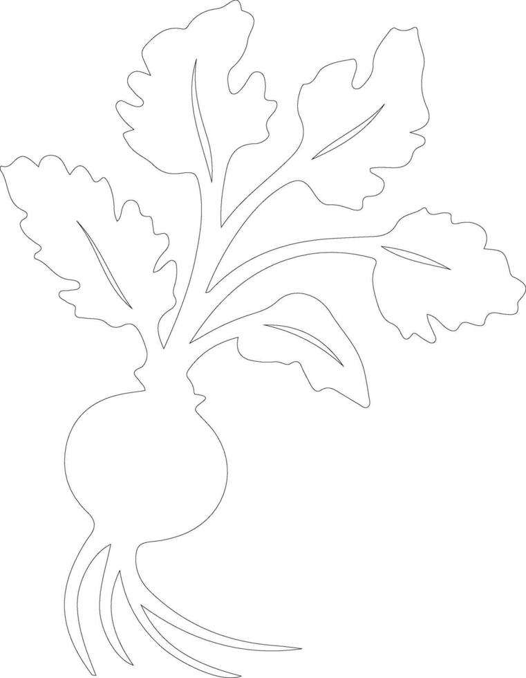 radish  outline silhouette vector