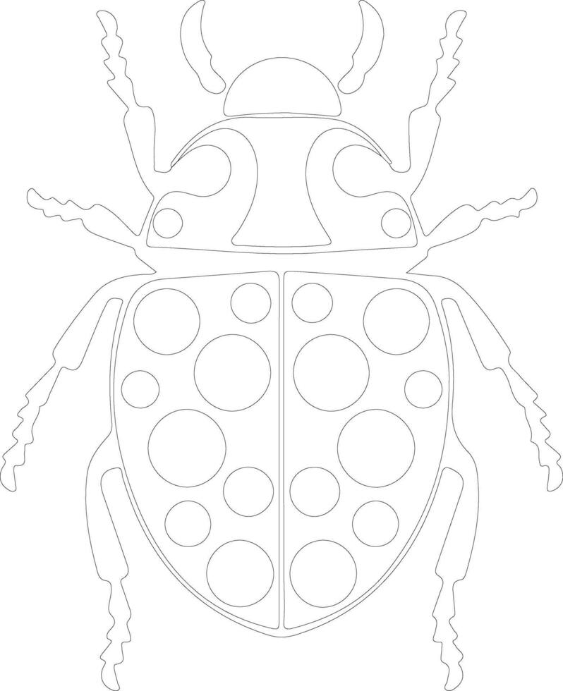 harlequin bug  outline silhouette vector
