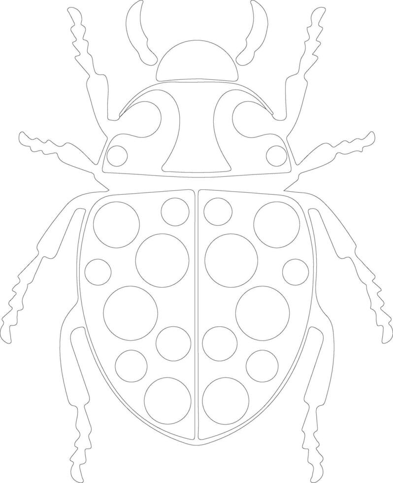 harlequin bug  outline silhouette vector