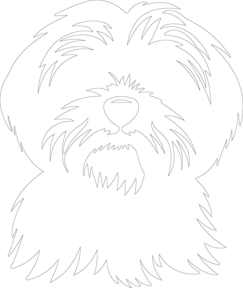 Havanese  outline silhouette vector