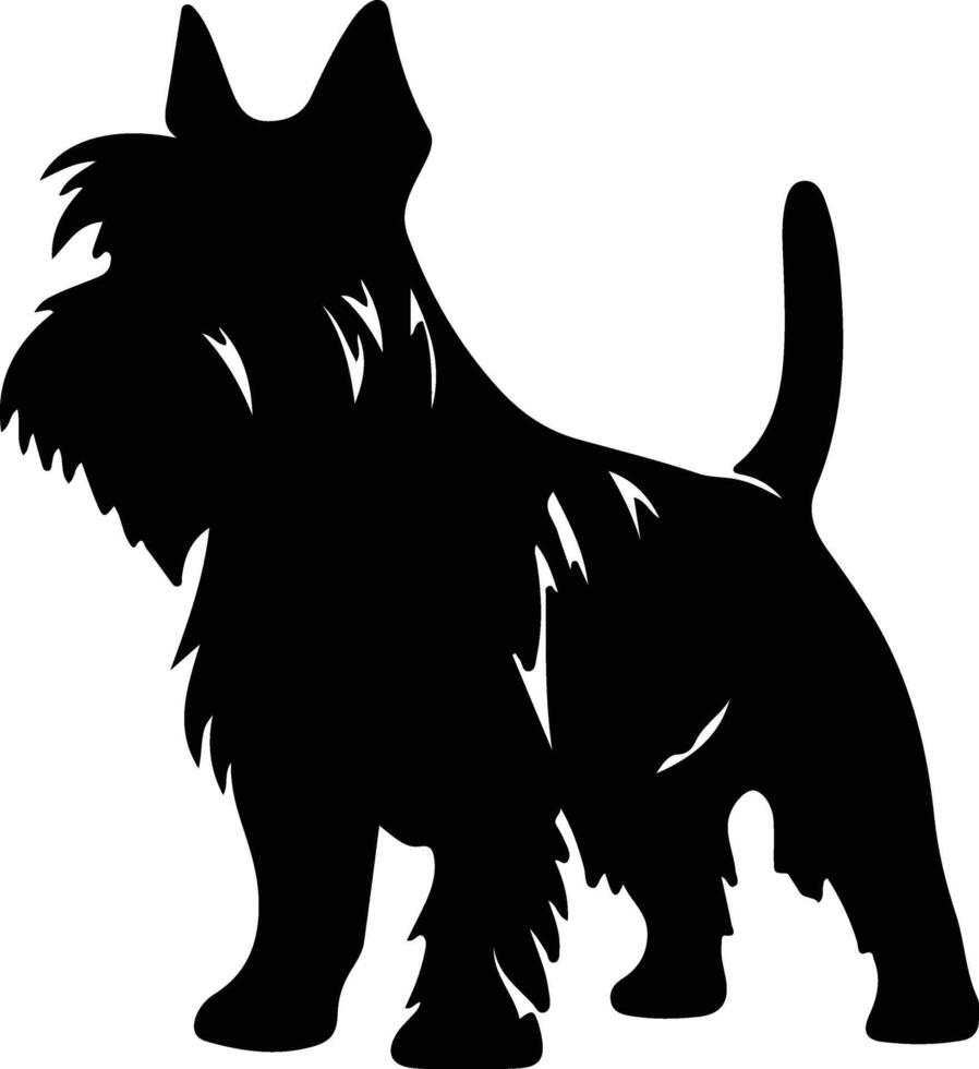 Scottish Terrier   black silhouette vector