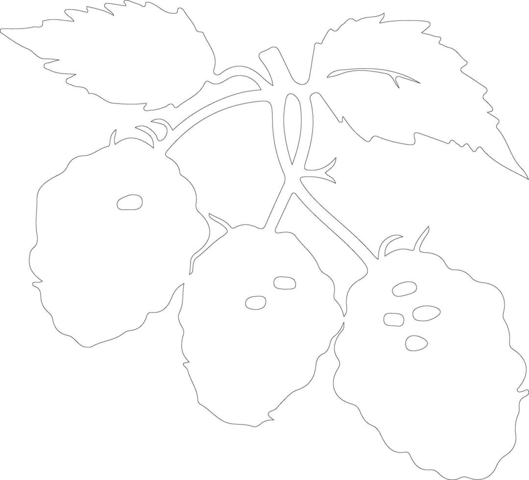 marionberry  outline silhouette vector