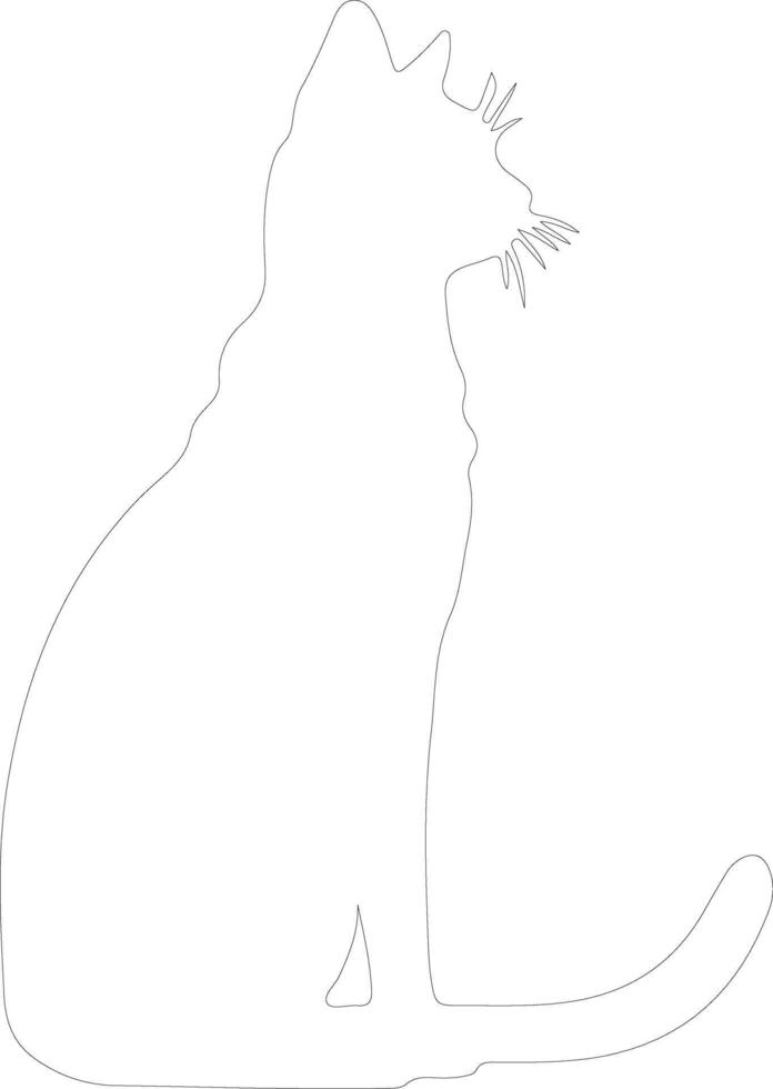 Javanese Cat  outline silhouette vector