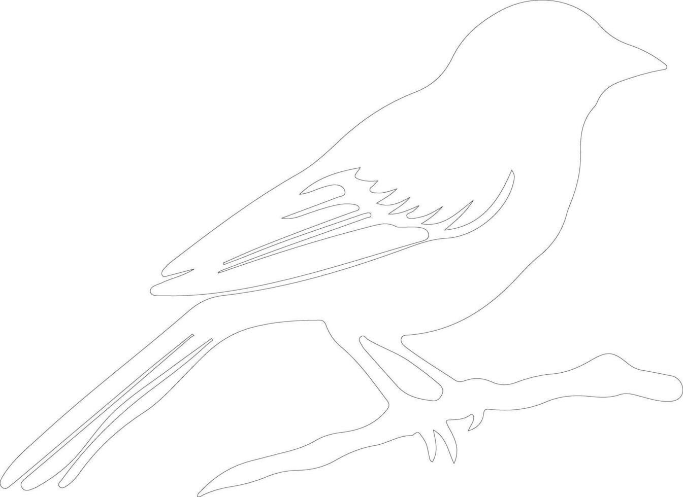 tanager outline silhouette vector
