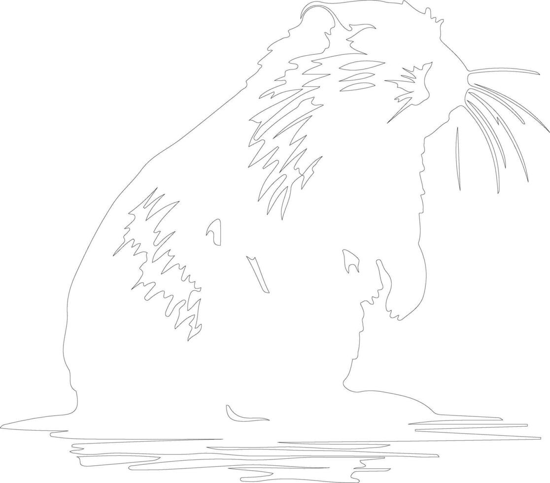 nutria contorno silueta vector