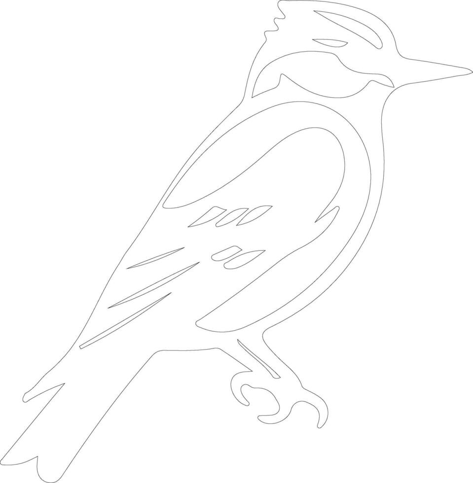 downy woodpecker    outline silhouette vector