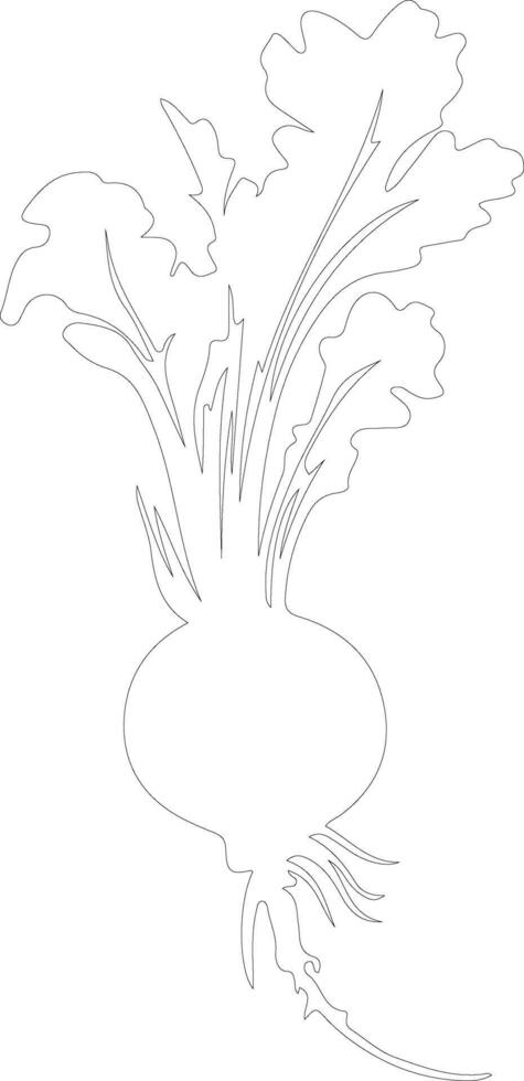 radish  outline silhouette vector