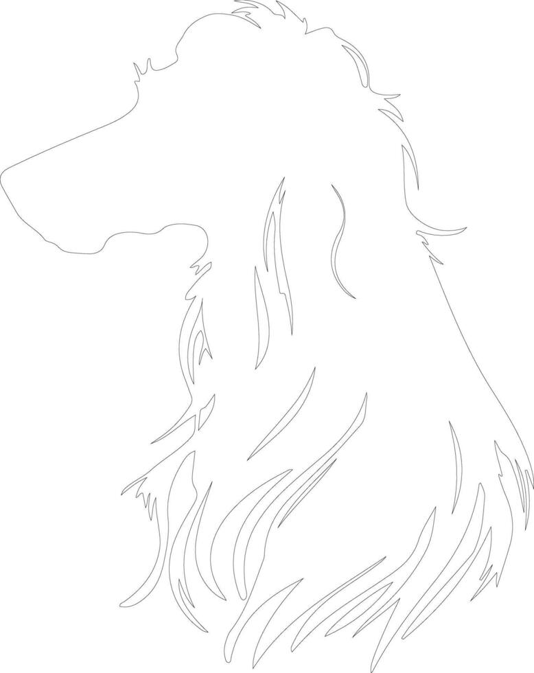 Afghan Hound outline silhouette vector