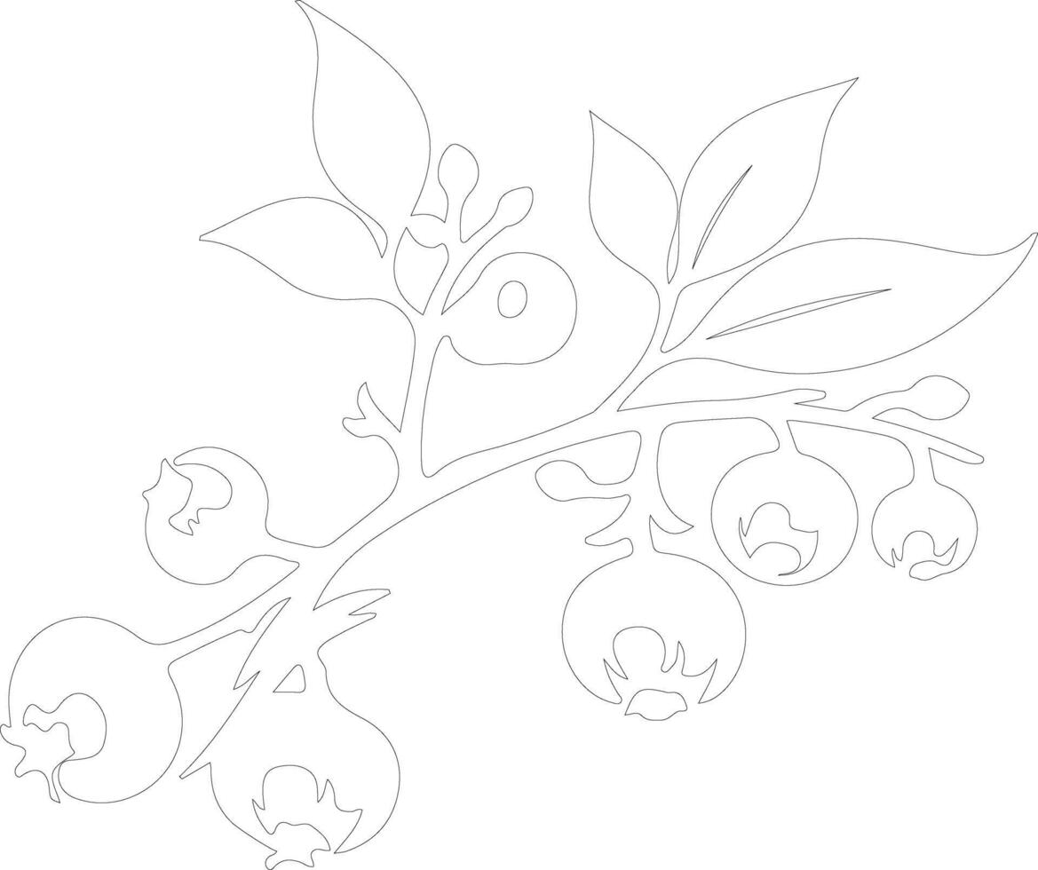 blueberry  outline silhouette vector