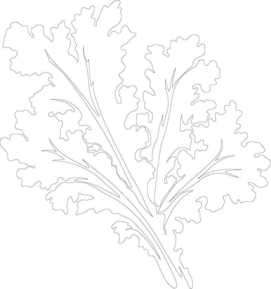 mustard greens  outline silhouette vector