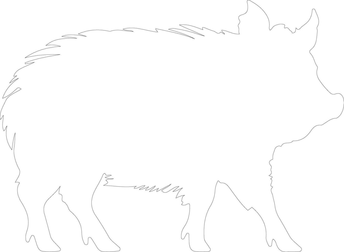 collaredpeccary outline silhouette vector