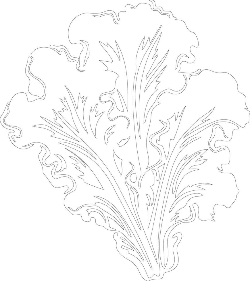 lettuce outline silhouette vector