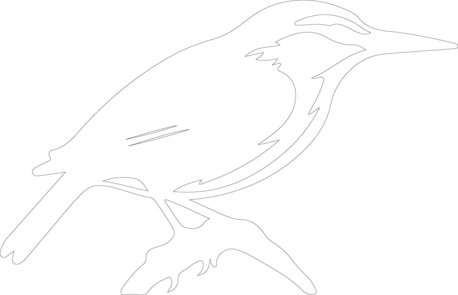 nuthatch  outline silhouette vector