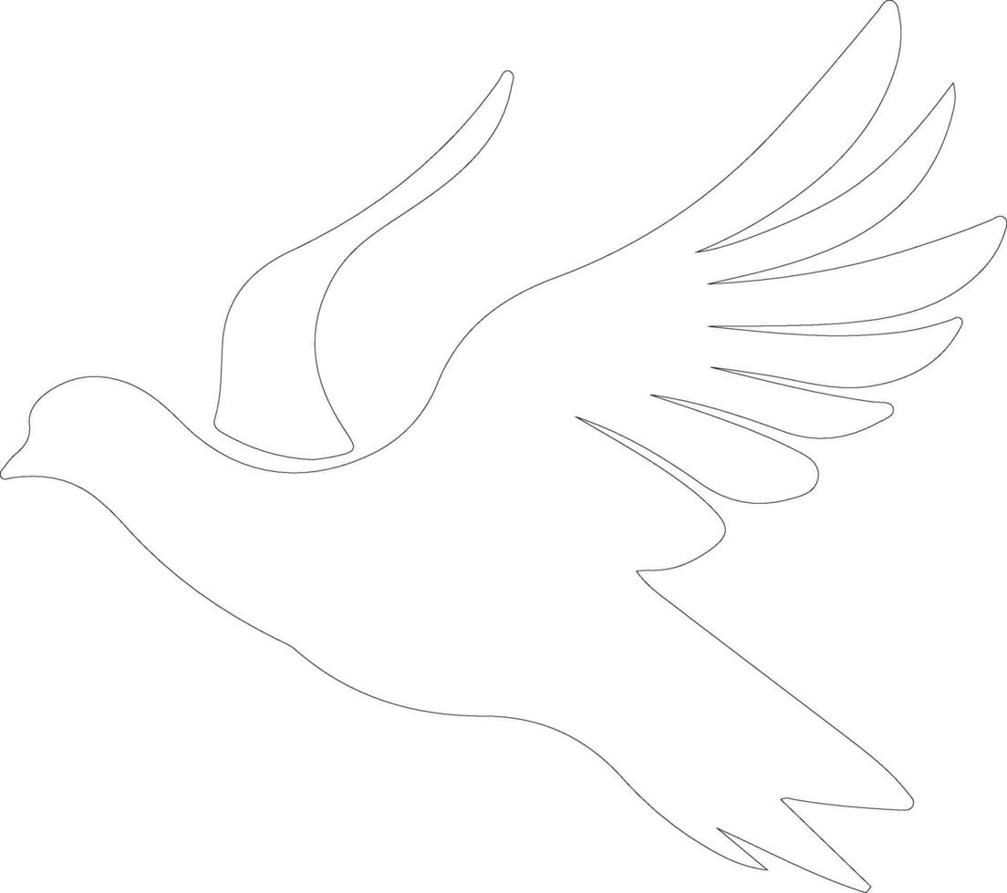 white dove  outline silhouette vector