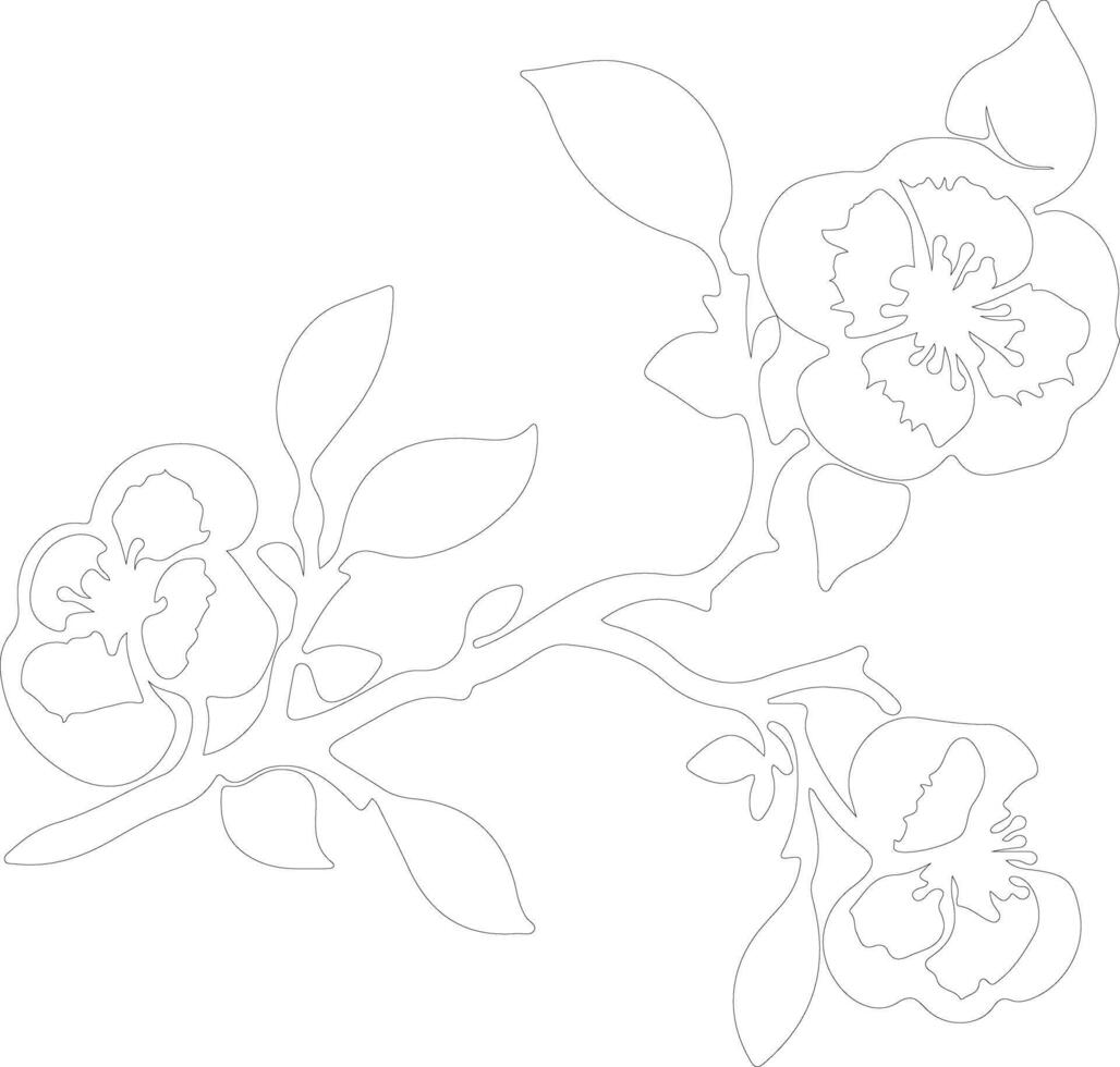 quince outline silhouette vector