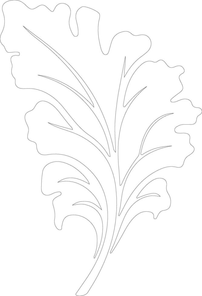 chard  outline silhouette vector