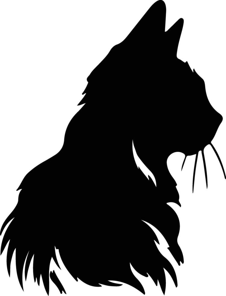 Somali Cat  silhouette portrait vector