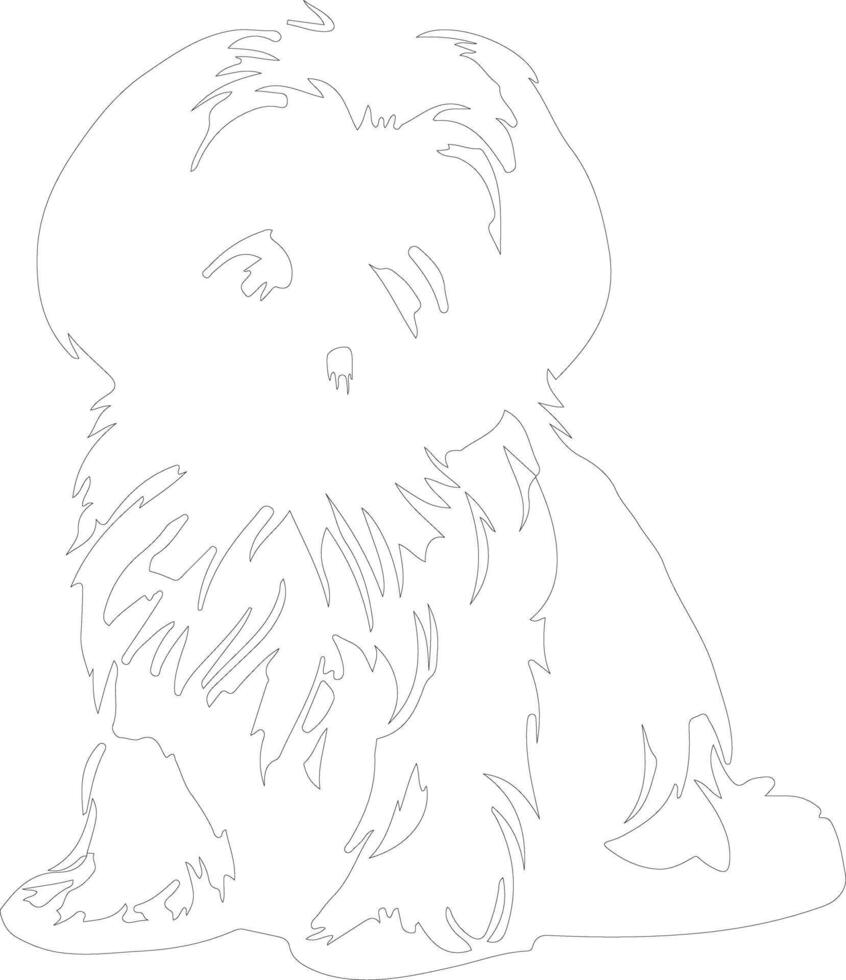 Lhasa Apso outline silhouette vector