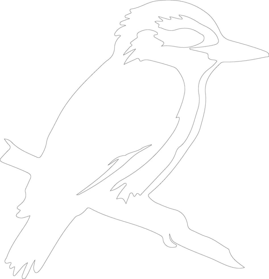 kookaburra  outline silhouette vector