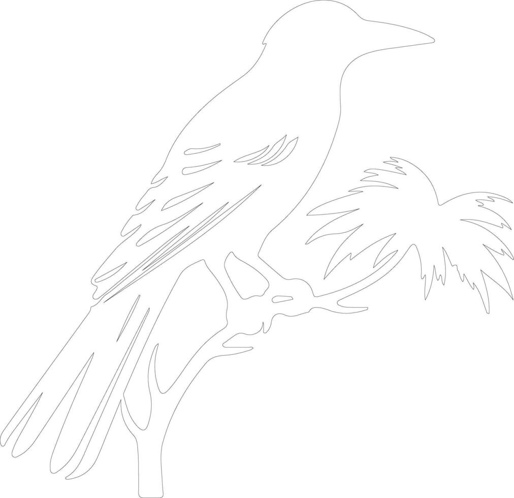 oropendola  outline silhouette vector