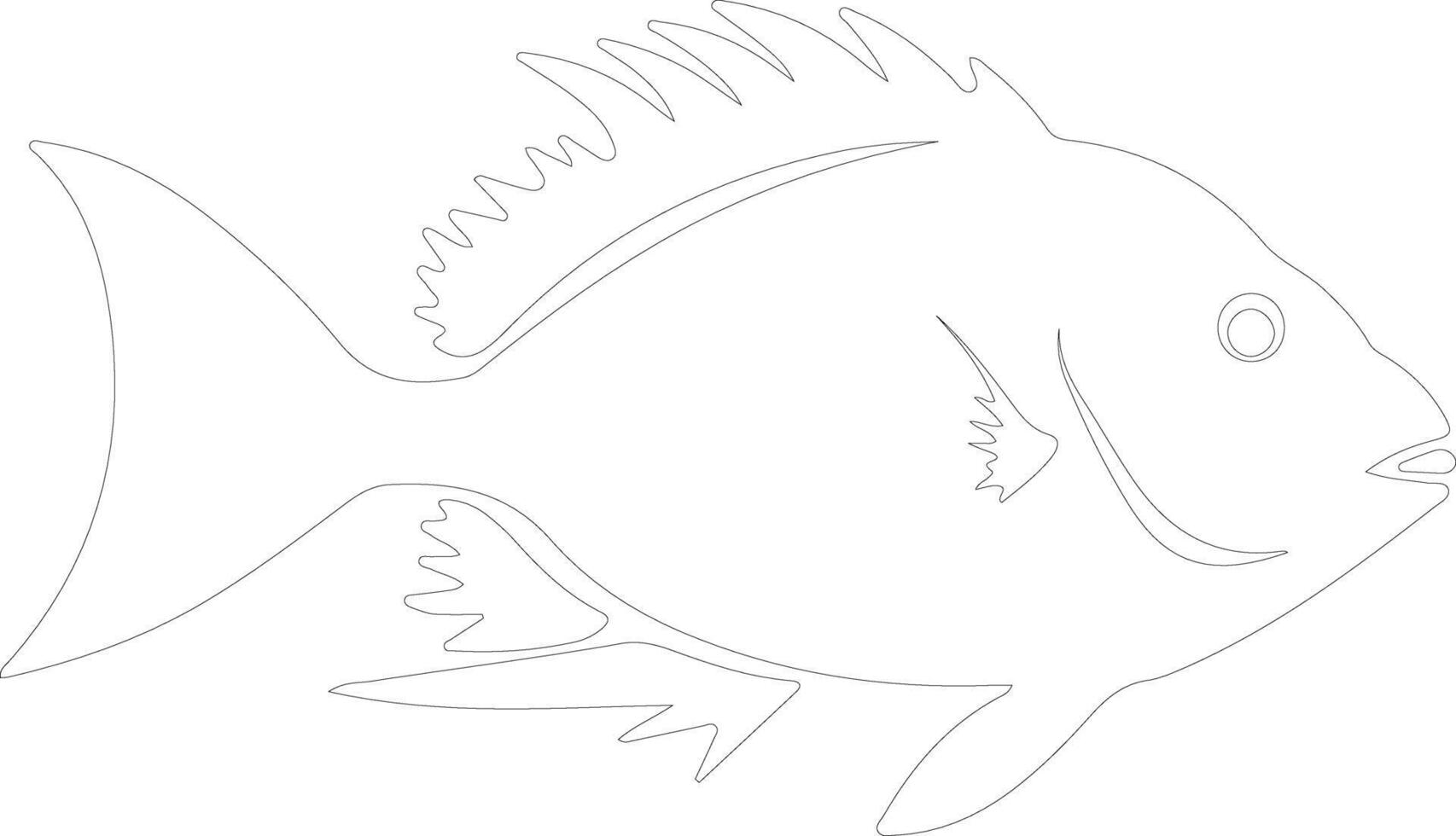 John Dory  outline silhouette vector
