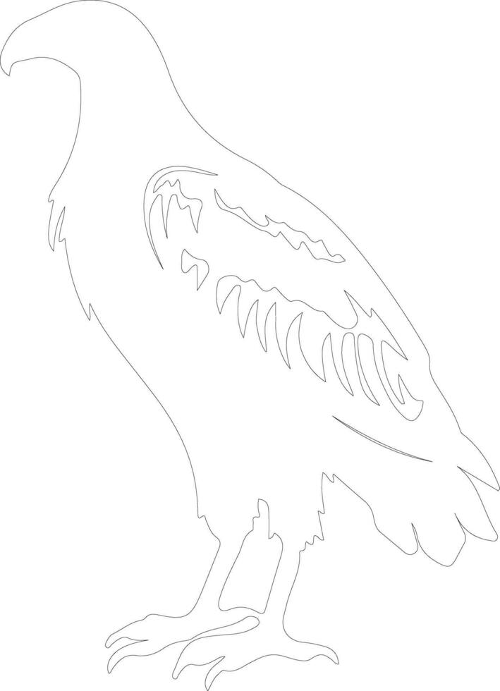 vulture  outline silhouette vector