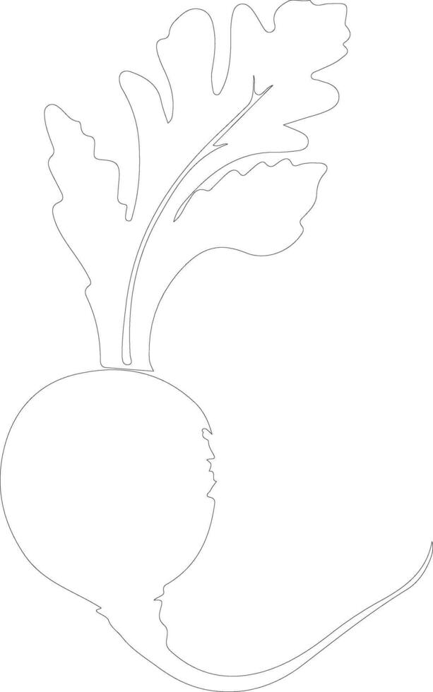 radish  outline silhouette vector