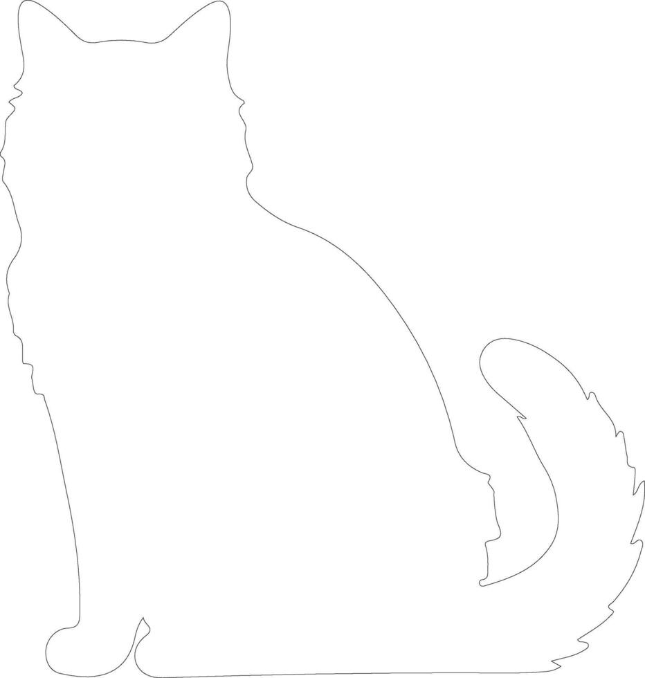 Selkirk Rex Cat outline silhouette vector