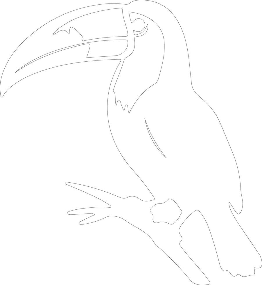 toucan    outline silhouette vector