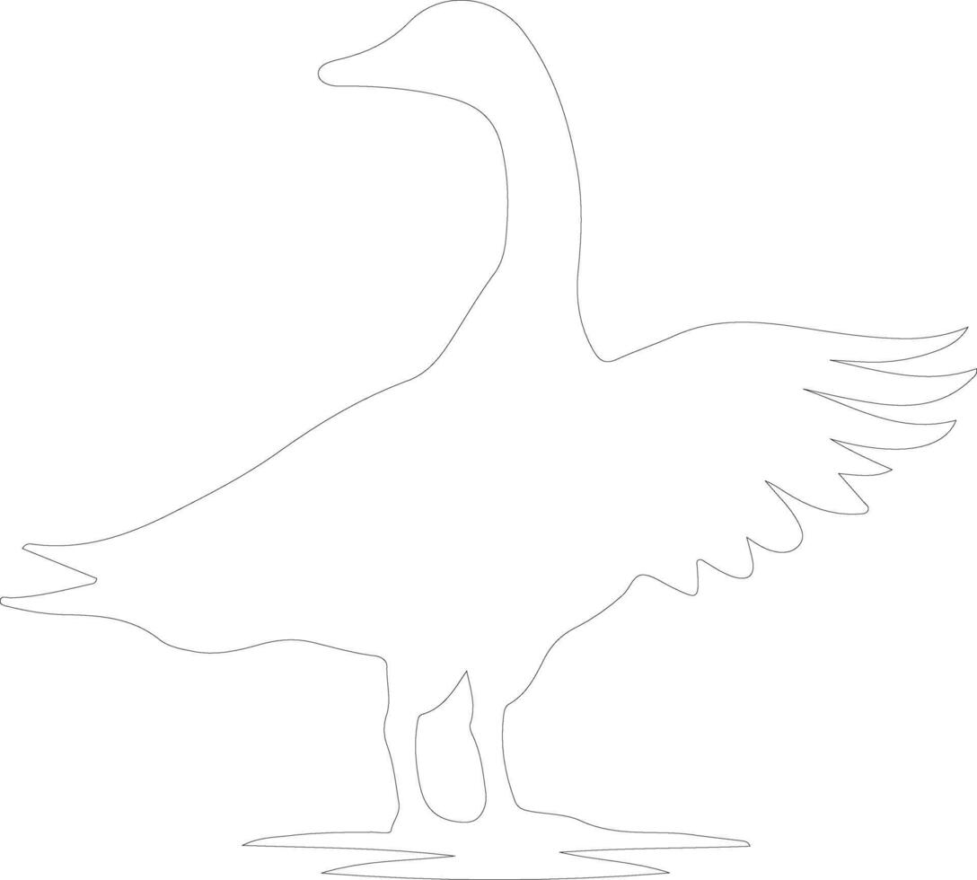 snow goose   outline silhouette vector