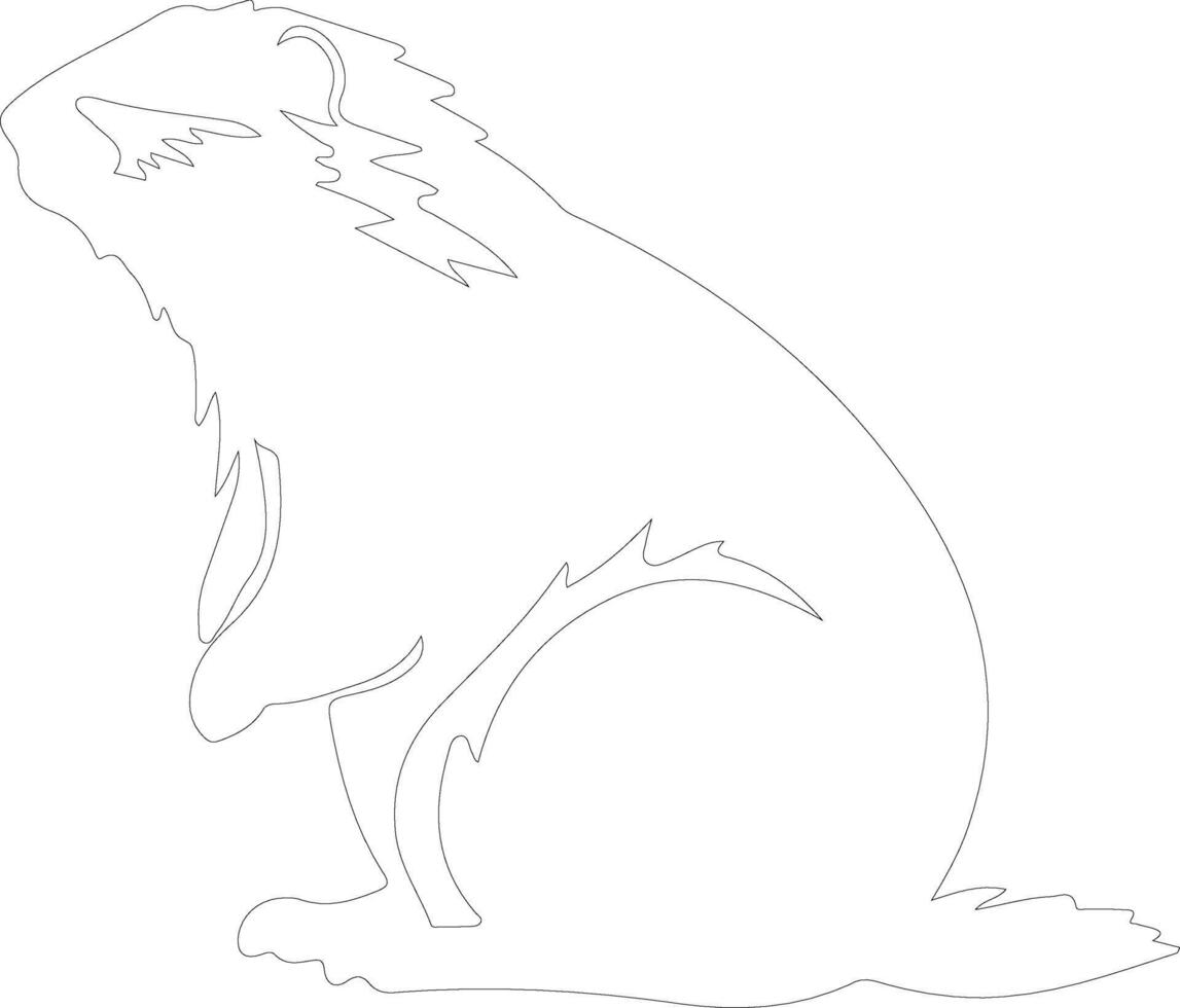 woodchuck  outline silhouette vector