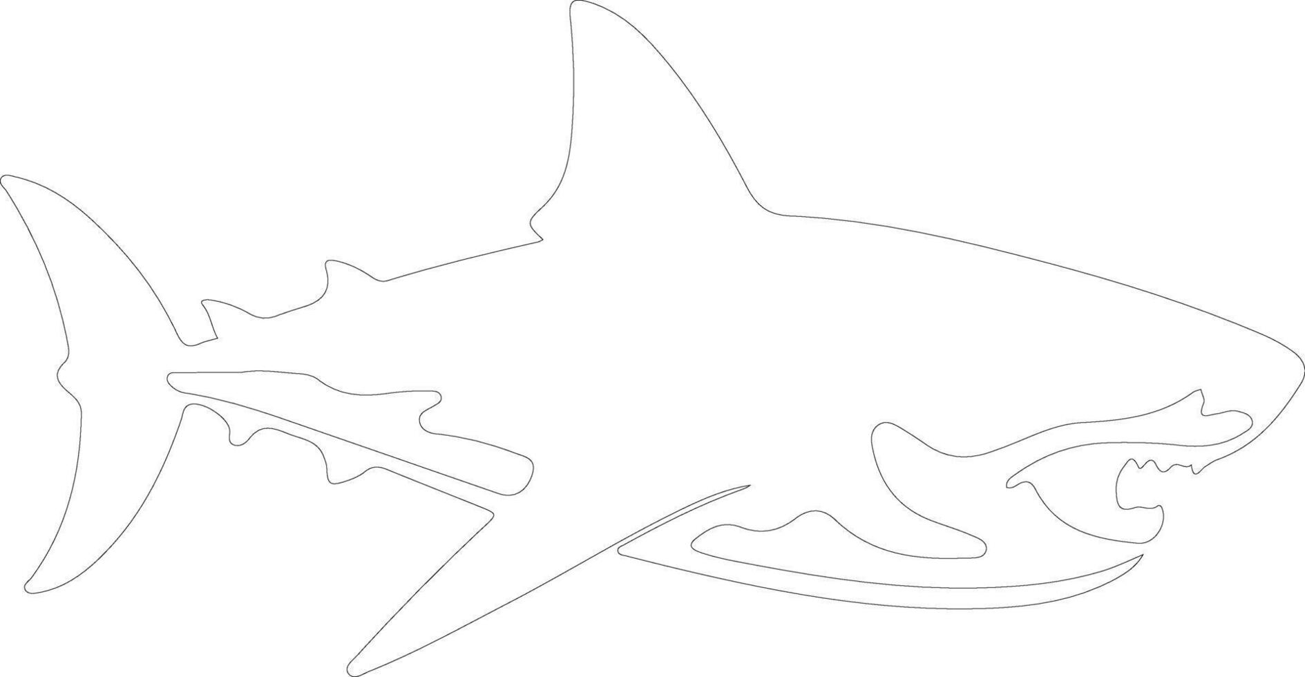 Megalodon  outline silhouette vector