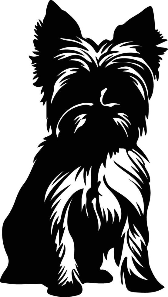 Yorkshire terrier negro silueta vector