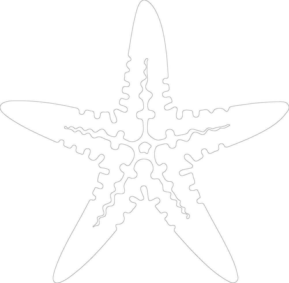 starfish   outline silhouette vector
