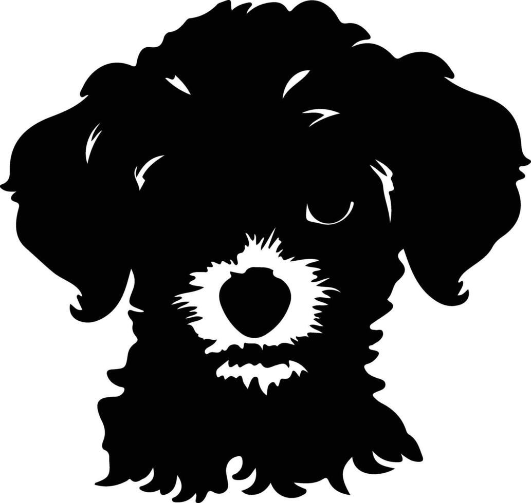 Toy Poodle  silhouette portrait vector