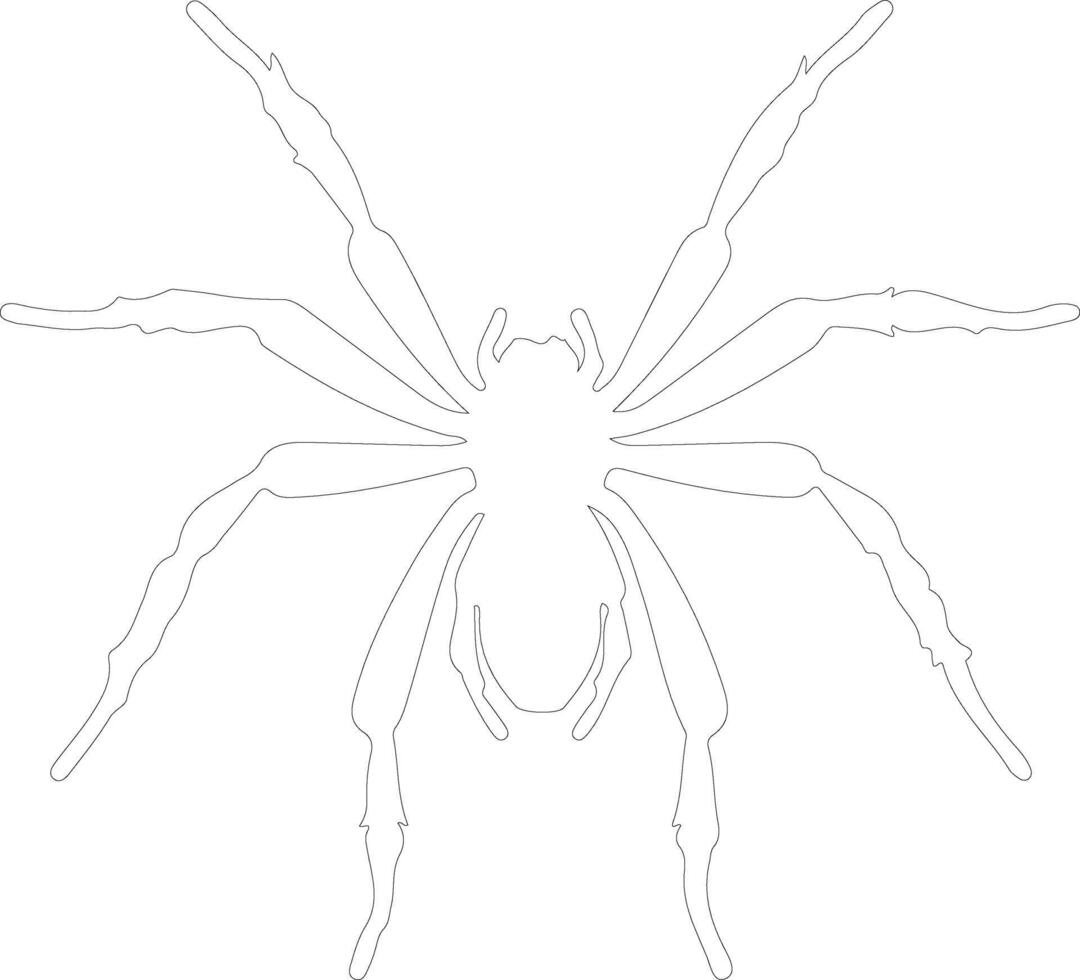 arachnid  outline silhouette vector
